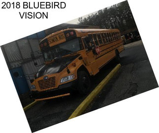 2018 BLUEBIRD VISION