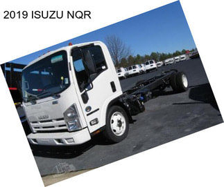 2019 ISUZU NQR