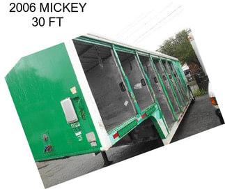 2006 MICKEY 30 FT