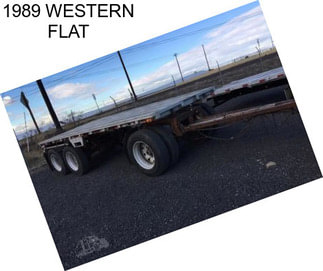 1989 WESTERN FLAT