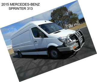 2015 MERCEDES-BENZ SPRINTER 313