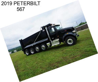 2019 PETERBILT 567