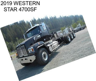 2019 WESTERN STAR 4700SF