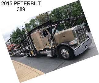 2015 PETERBILT 389