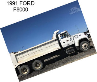 1991 FORD F8000