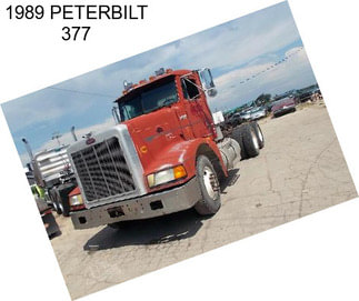 1989 PETERBILT 377