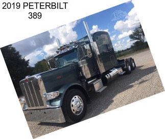 2019 PETERBILT 389