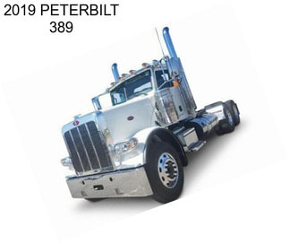 2019 PETERBILT 389