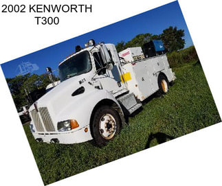 2002 KENWORTH T300