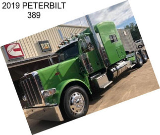 2019 PETERBILT 389