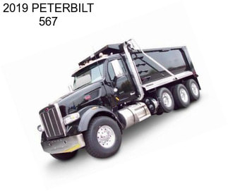 2019 PETERBILT 567