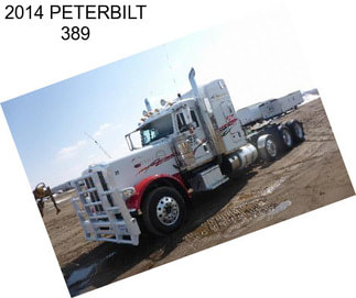 2014 PETERBILT 389