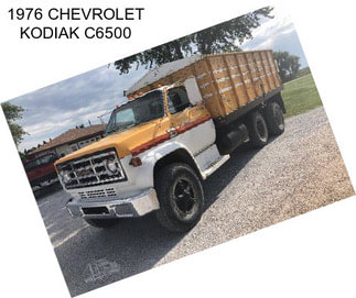 1976 CHEVROLET KODIAK C6500