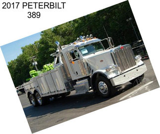 2017 PETERBILT 389