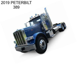 2019 PETERBILT 389