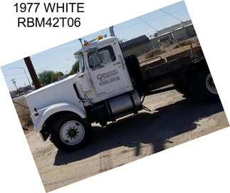 1977 WHITE RBM42T06