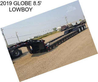 2019 GLOBE 8.5\' LOWBOY