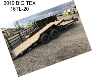 2019 BIG TEX 16TL-20