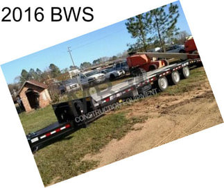 2016 BWS