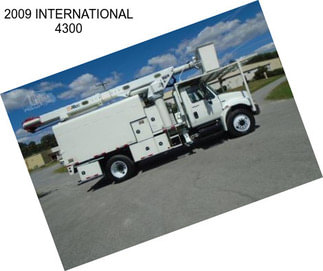 2009 INTERNATIONAL 4300