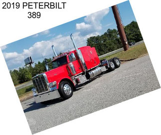 2019 PETERBILT 389