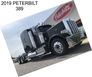 2019 PETERBILT 389