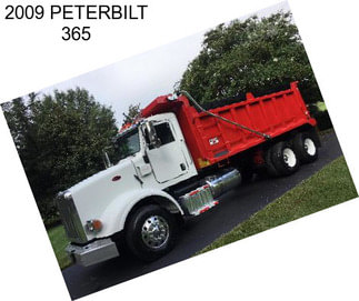 2009 PETERBILT 365