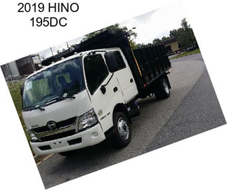 2019 HINO 195DC