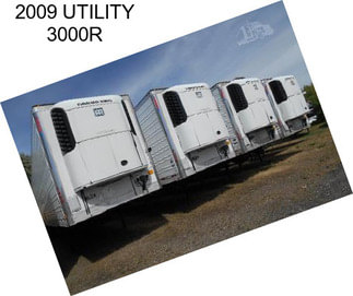 2009 UTILITY 3000R