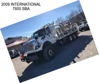 2009 INTERNATIONAL 7600 SBA