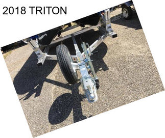 2018 TRITON