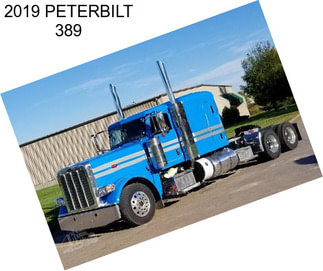 2019 PETERBILT 389