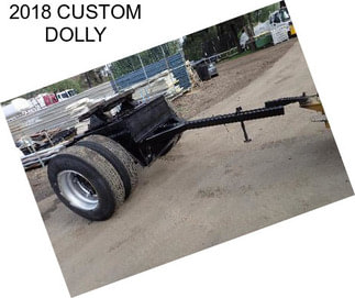 2018 CUSTOM DOLLY