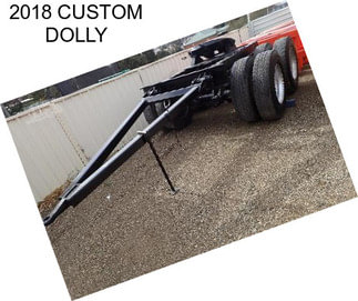 2018 CUSTOM DOLLY