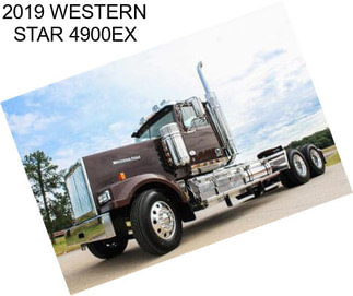 2019 WESTERN STAR 4900EX