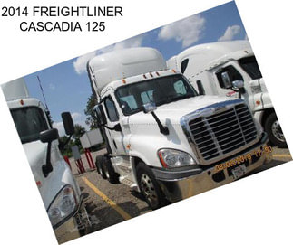 2014 FREIGHTLINER CASCADIA 125