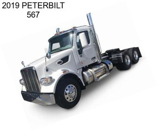 2019 PETERBILT 567