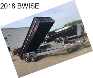 2018 BWISE