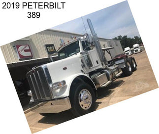 2019 PETERBILT 389