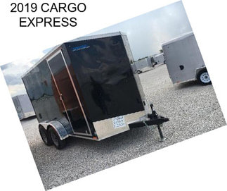 2019 CARGO EXPRESS