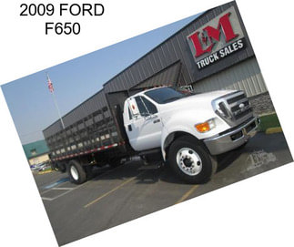 2009 FORD F650