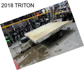 2018 TRITON