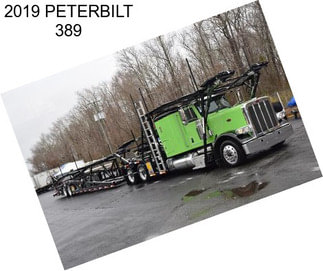 2019 PETERBILT 389