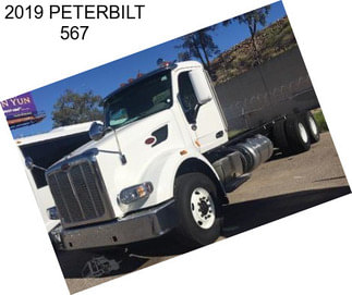 2019 PETERBILT 567