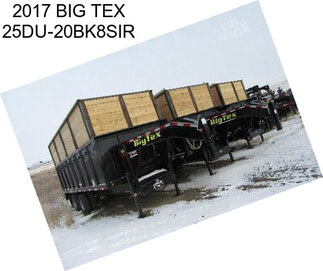 2017 BIG TEX 25DU-20BK8SIR