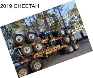 2019 CHEETAH