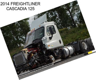 2014 FREIGHTLINER CASCADIA 125