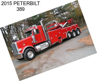 2015 PETERBILT 389