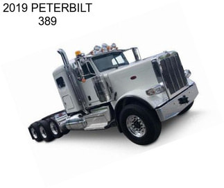 2019 PETERBILT 389