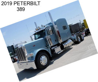 2019 PETERBILT 389